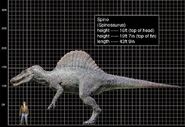 Spino5iu5ze-1-.jpg (70 КБ) Spino5iu5ze-1-
